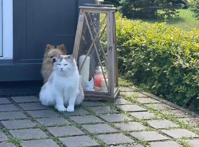 Lodge Jasna Polana Jastrzębia Góra